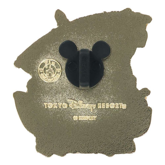 Pins sindbad's attraction