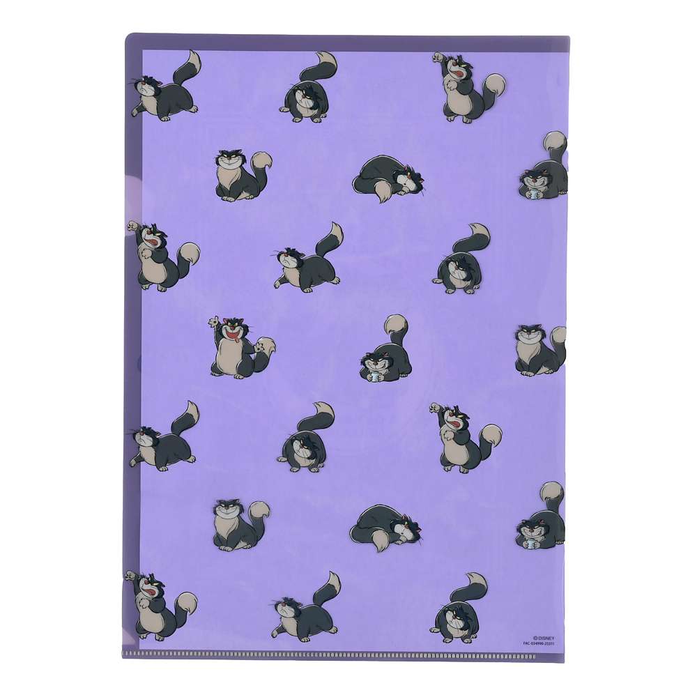 Lot  de 2 pochettes rangements cat day 2026