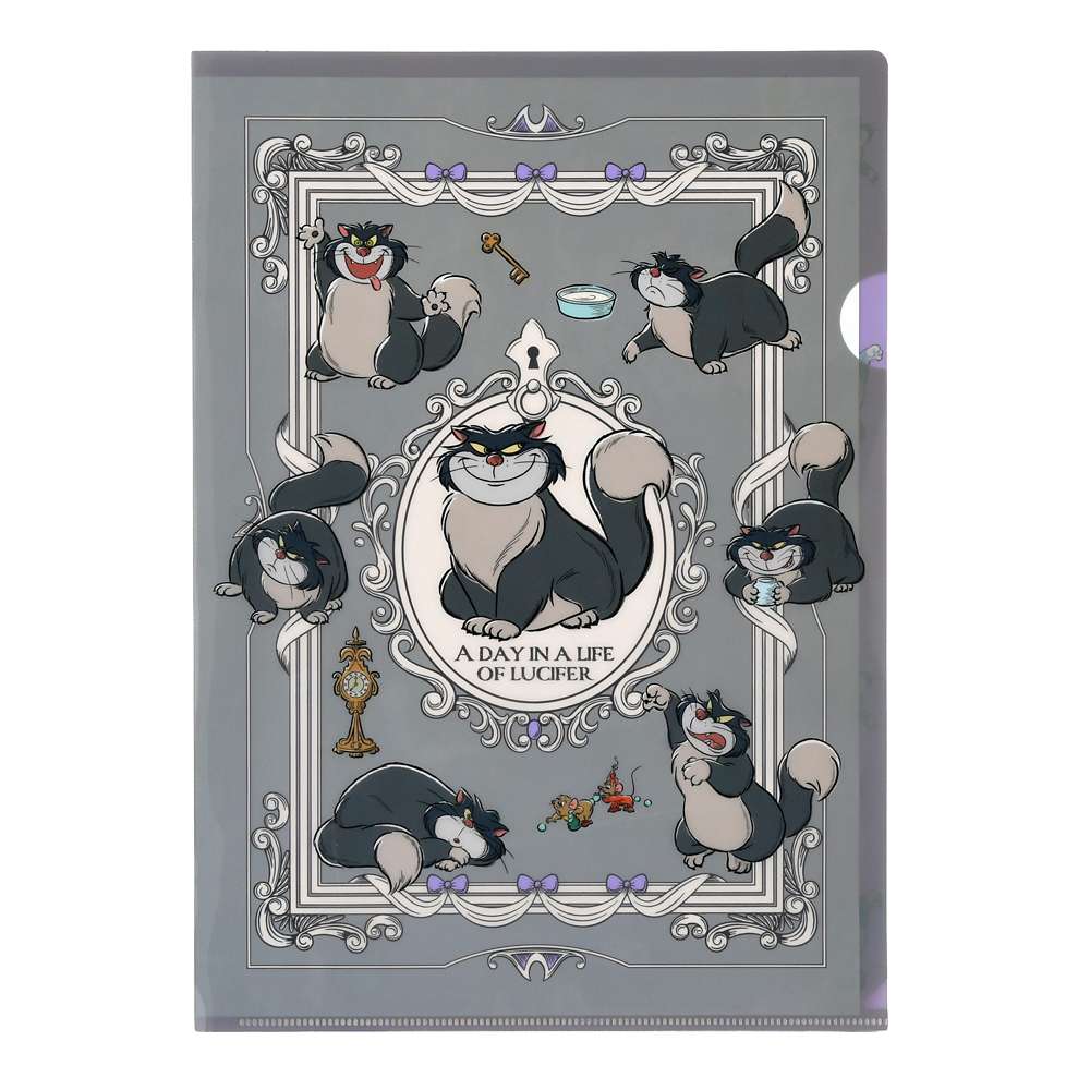 Lot  de 2 pochettes rangements cat day 2026